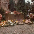 Bild0515