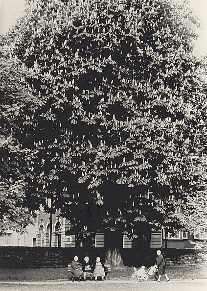 Bild0407.jpg