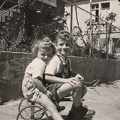 Bild1903